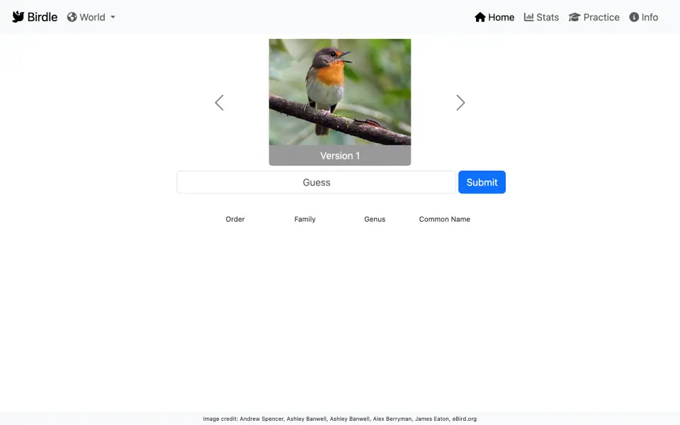 Birdle screenshot