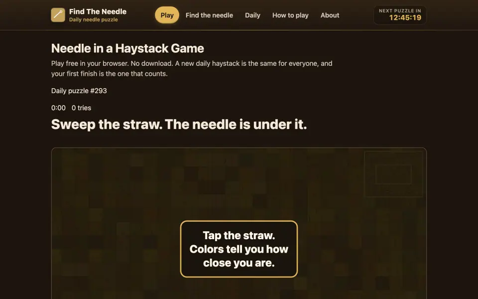 Find The Needle screenshot