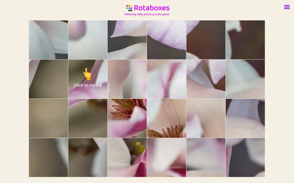 Rotaboxes screenshot